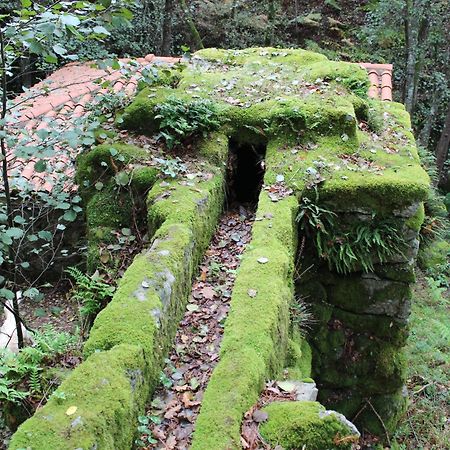 Casa Solveira Vendégház O Pineiro Kültér fotó