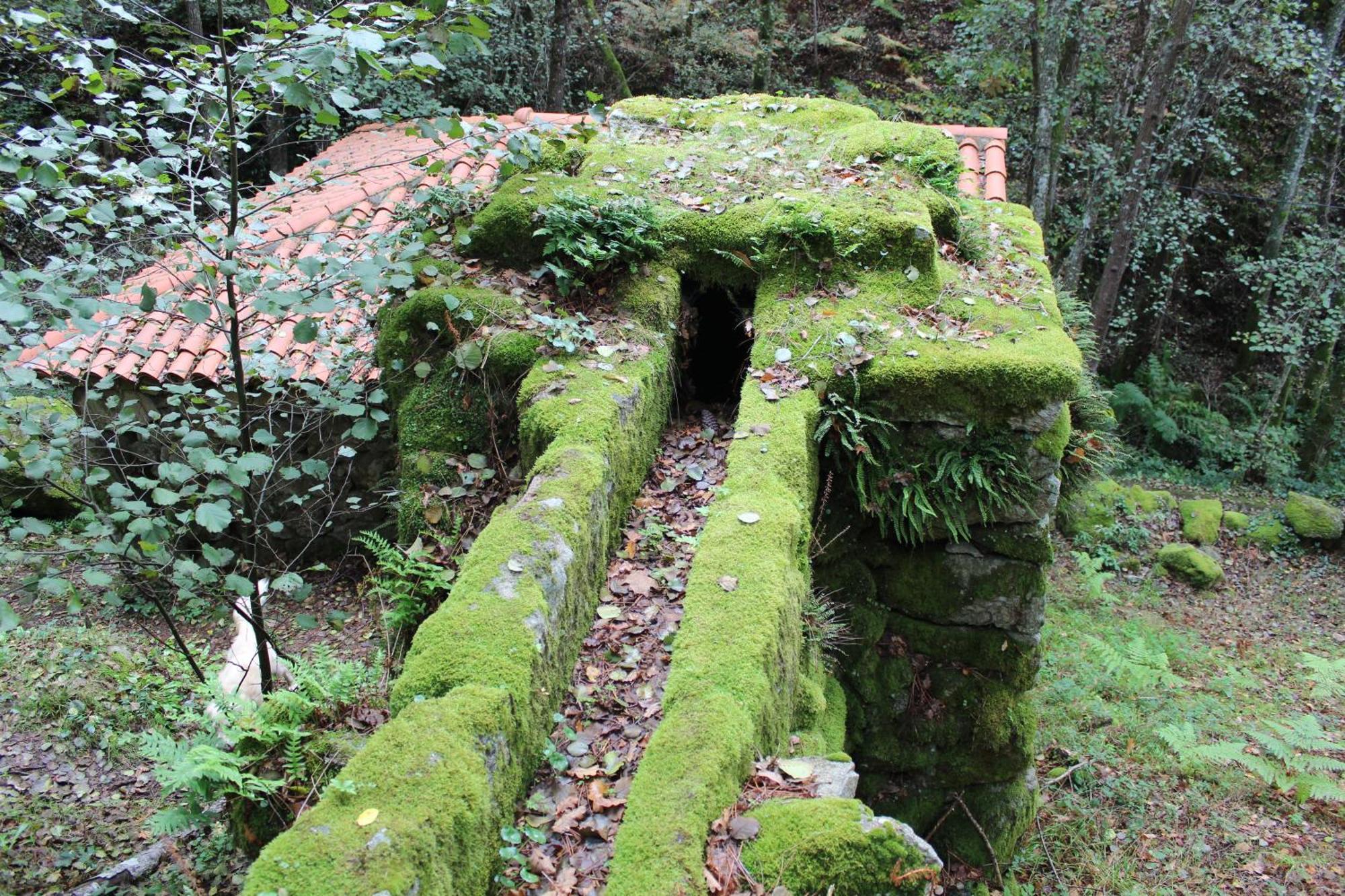 Casa Solveira Vendégház O Pineiro Kültér fotó