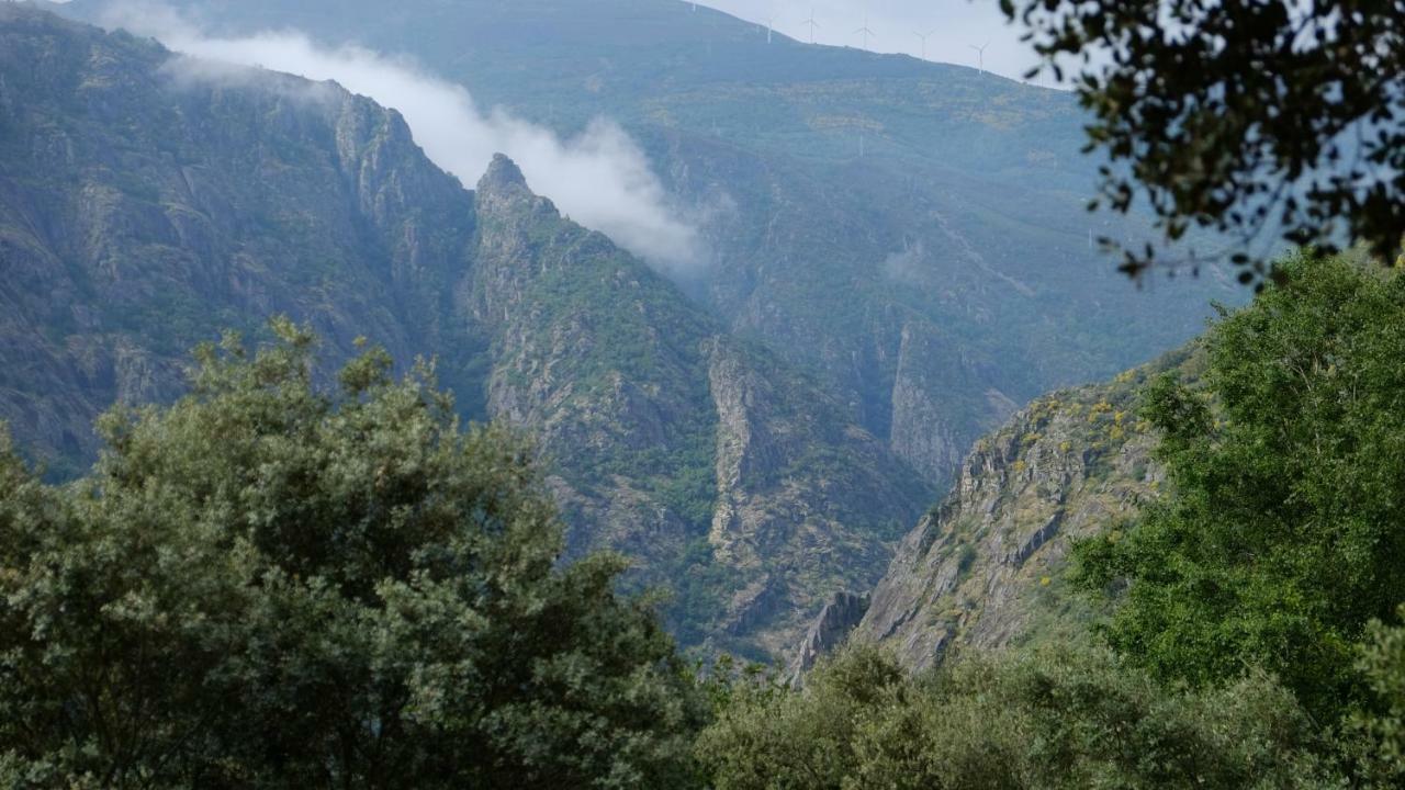 Casa Solveira Vendégház O Pineiro Kültér fotó