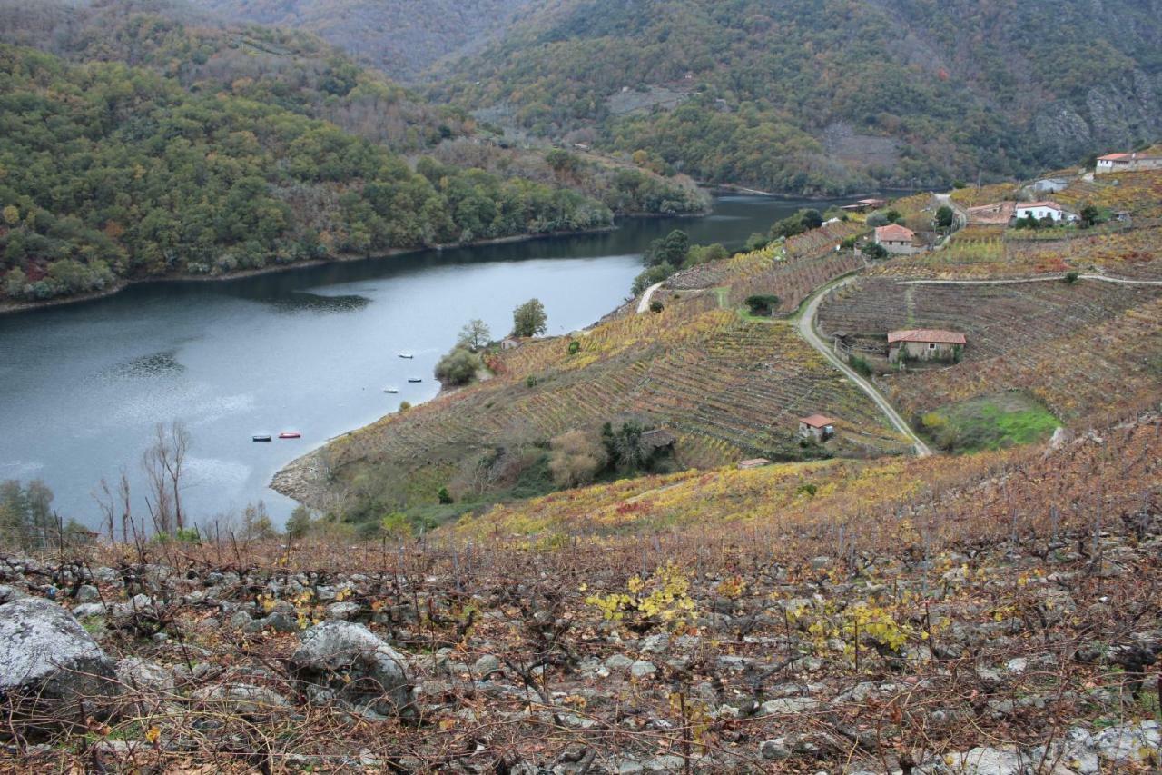 Casa Solveira Vendégház O Pineiro Kültér fotó